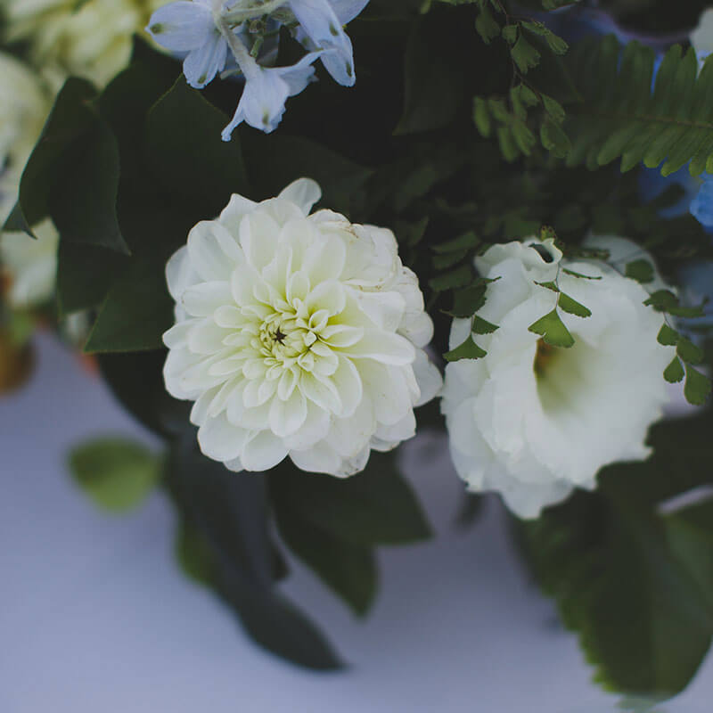 View More: http://suzijacobs.pass.us/shaynekenny