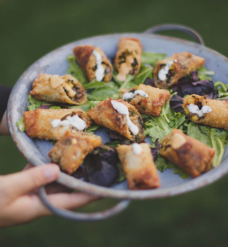 View More: http://suzijacobs.pass.us/shaynekenny